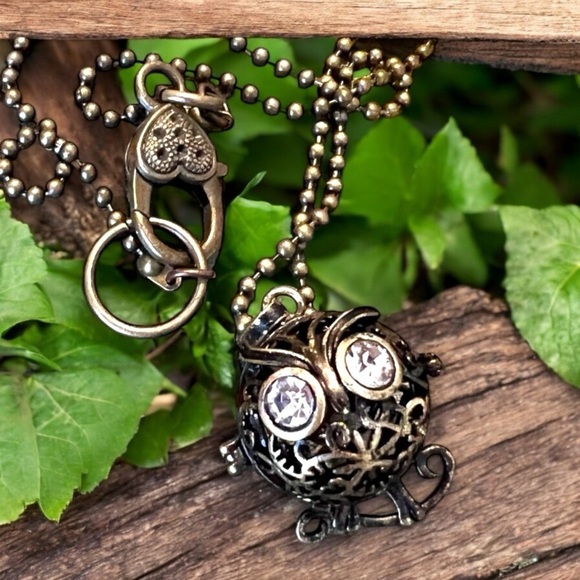 Bronze and rhinestone owl locket necklace. Owl necklace. - Picture 8 of 11